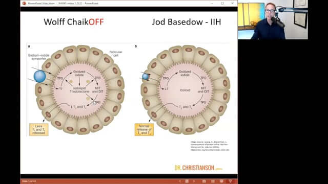 2021 CE Webinar - Reversing Thyroid Disease by Iodine Regulation ~ Alan Christianson, ND