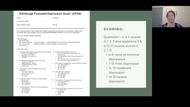 CONNECT 2020: Mothering the Mother: The primary care naturopathic doctor's role in preventing and treating postpartum mood disorders ~ Emily Lesnak, ND