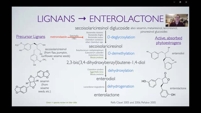 CONNECT 2020: Herb-Drug-Gut Flora Interactions ~ Eric Yarnell, ND