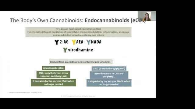 CONNECT 2020: Naturally Occurring Cannabinoids and Their Role on the Endocannabinoid System ~ Elnaz Karimian-Azari, PhD