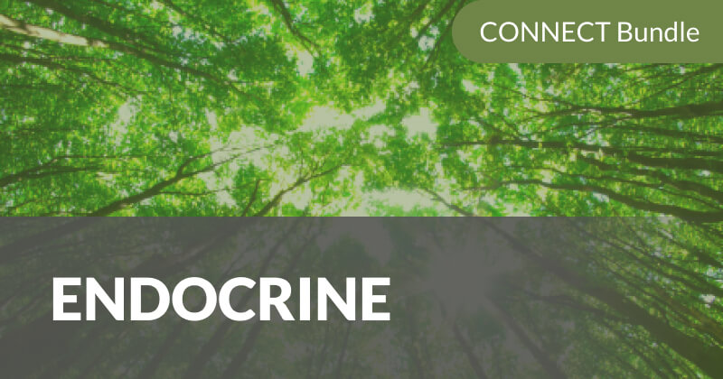 CONNECT 2020: Endocrine Courses Bundle